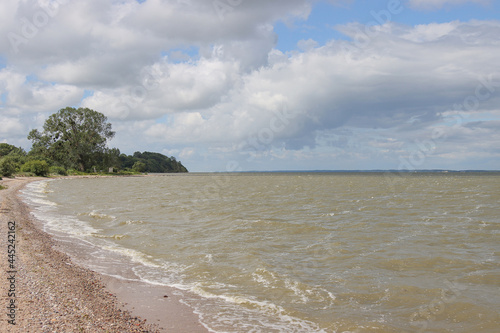 The coastline of the Kaliningrad Bay.