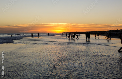 Silhouettes over water at sunset