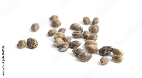 Raw organic hemp seeds on white background