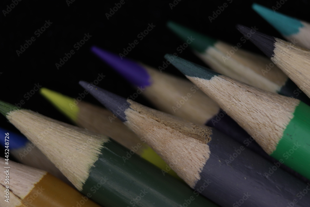 Obraz premium beautiful colored pencils to draw wood coloring