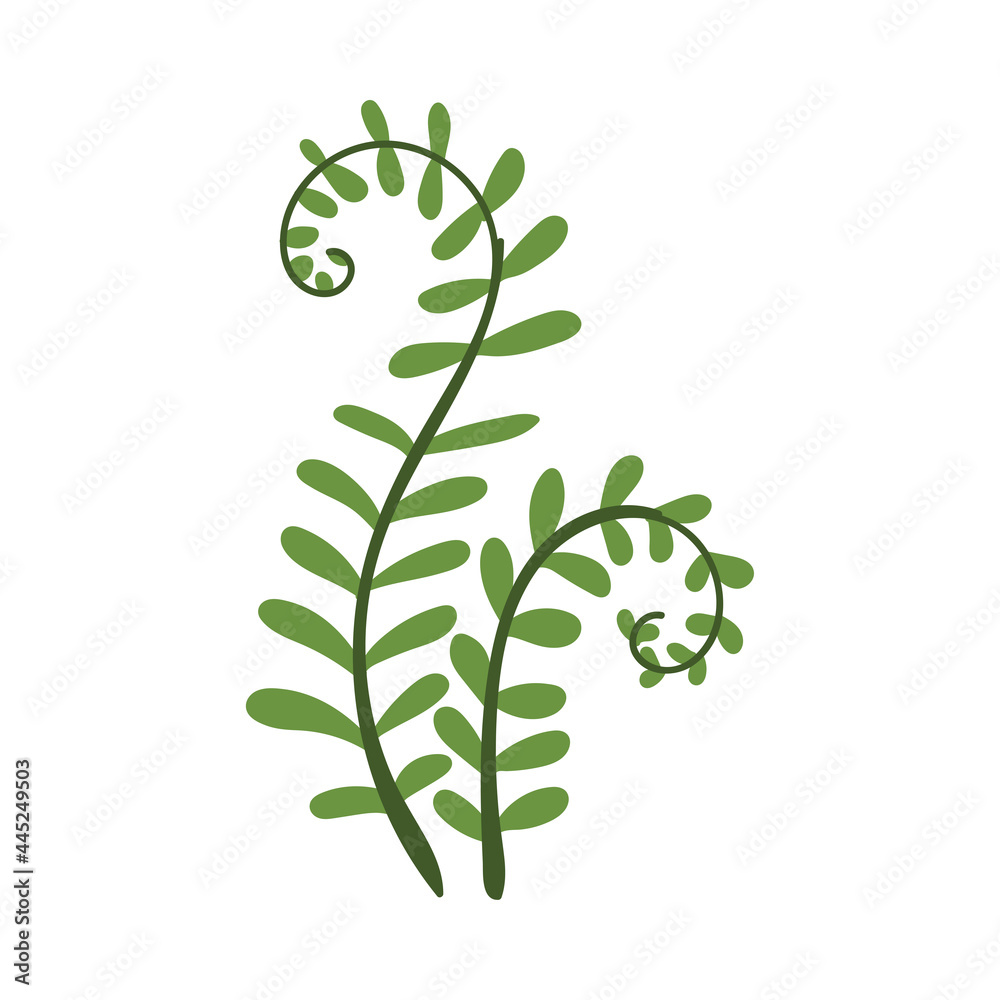 Simple Curved Fern Twig with Leaves Vector Illustration