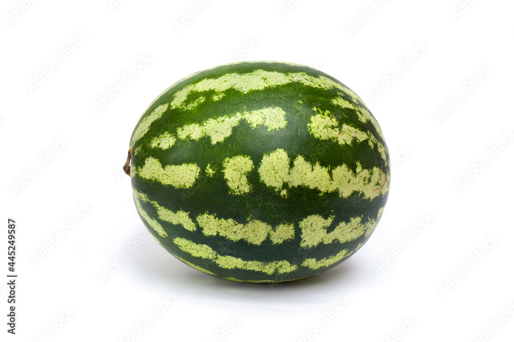 One green striped watermelon on a white background One green striped watermelon on a white background