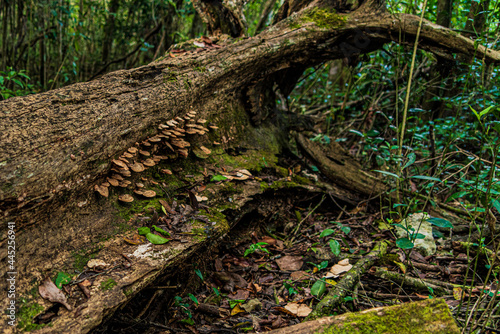 Trails in Miami, Florida