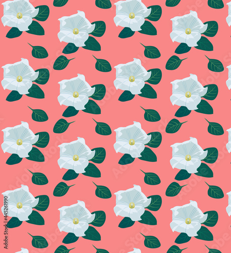 Datura flowers pattern on pink background