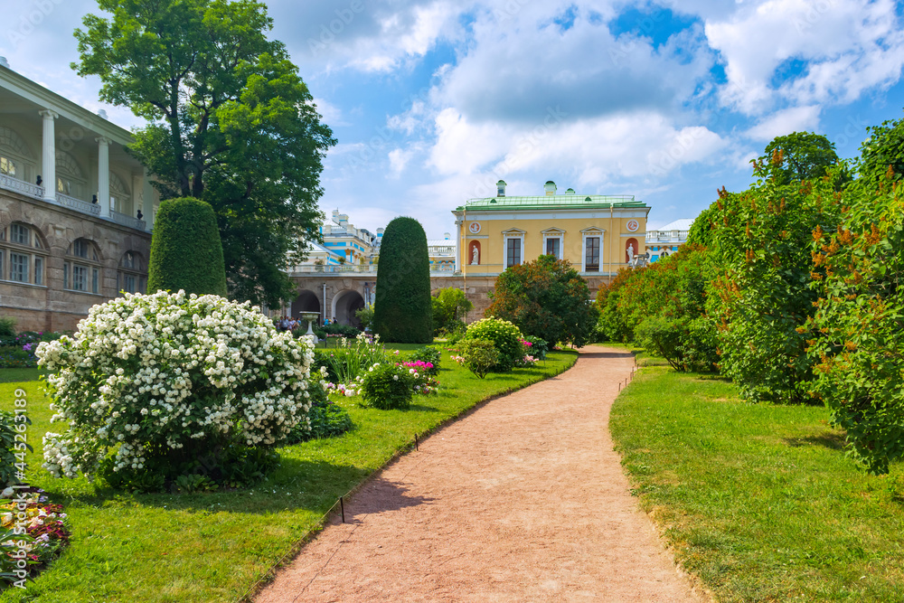 St.Petersburg, Russia - June, 27, 2021: Flower garden at the Catherine Palace in Pushkin (Tsarskoe Selo).