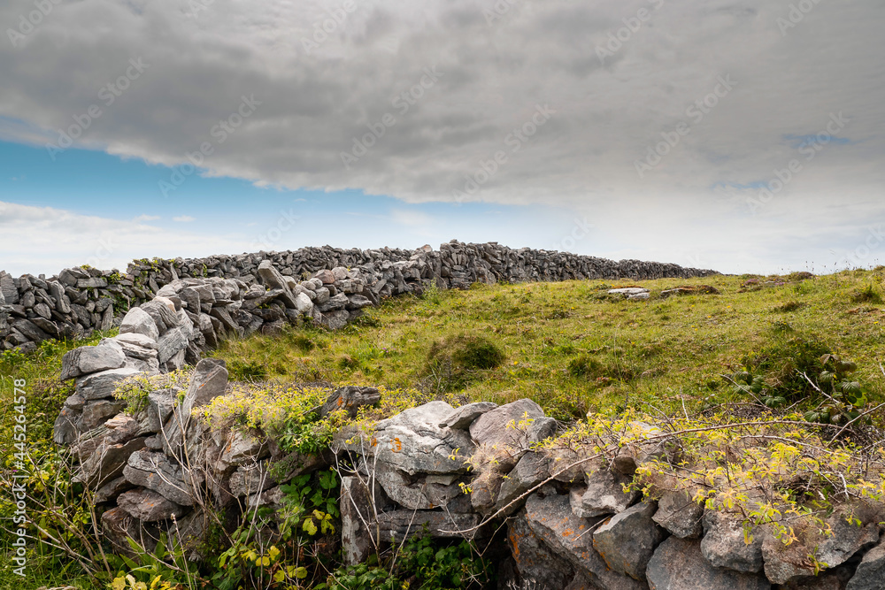 Traditional dry stone fence and green field. Inishmore, Aran Islands, County Galway, Ireland. Irish landscape