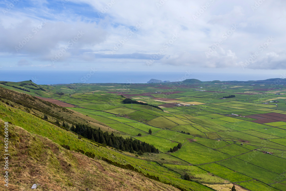 Fototapeta premium fields in the Terceira island