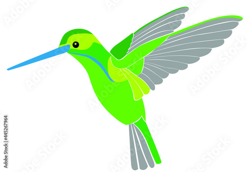 Green hummingbird in flight. Vector illustration