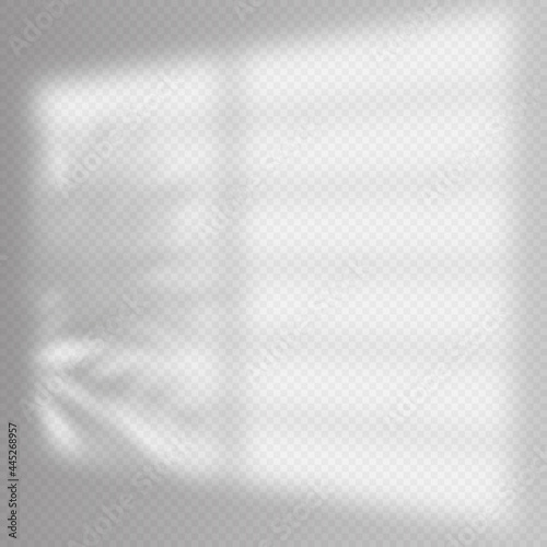 Realistic shadows overlay template. Window jalousie shadow frame and palm tree, natural interior soft light.