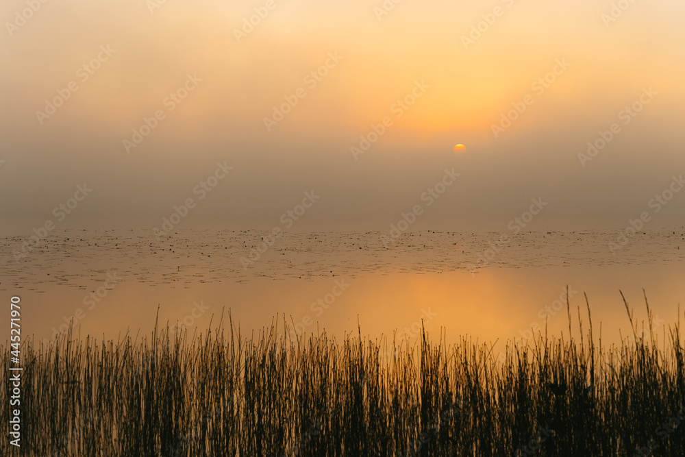 sunrise over the river