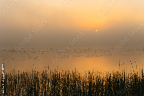 sunrise over the river