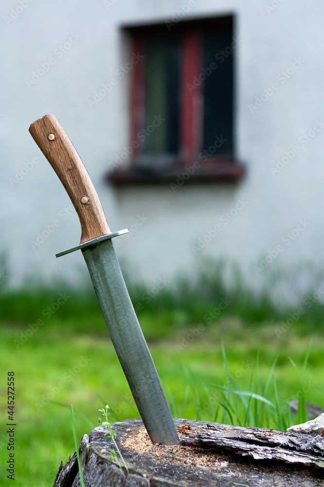 Knife stuck in a tree trunk