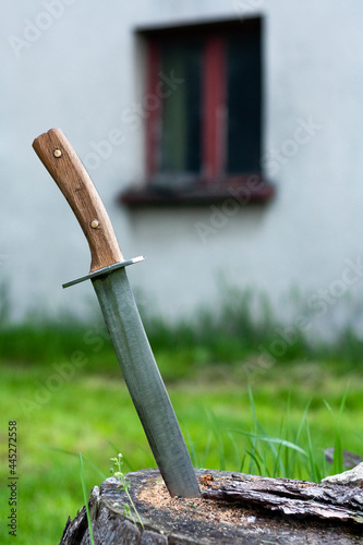 Obraz na płótnie Knife stuck in a tree trunk
w salonie