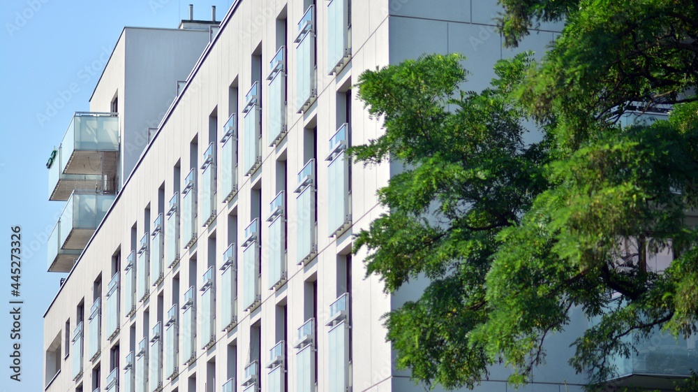 Eco architecture. Green tree and apartment building. The harmony of nature and modernity.