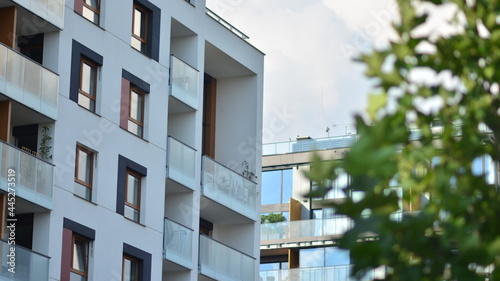 Eco architecture. Green tree and apartment building. The harmony of nature and modernity.