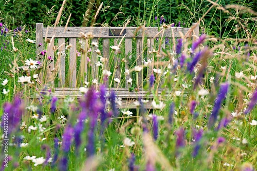 Wooden memorial bench with beautiful wildflowers in the foreground