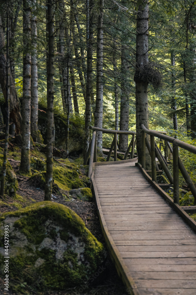 parque natural de agues tortes (lago de sant maurici)