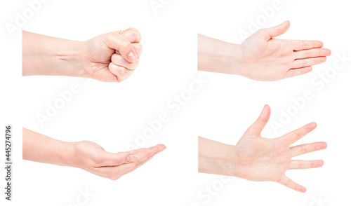 Caucasian woman hands gestures set isolated on white background.