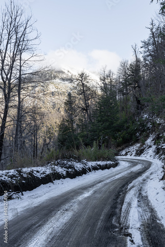 Snowy mountain road in the middle of the forest