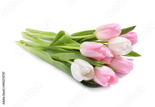 Beautiful pink spring tulips on white background