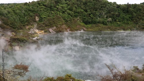 Steam over Frying Pan Lake - Waimangu Volcanic Valley - New Zealand, North Island