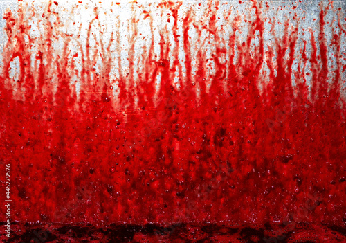sangue photo