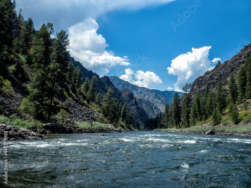 Cuadro en lienzo Main Salmon River