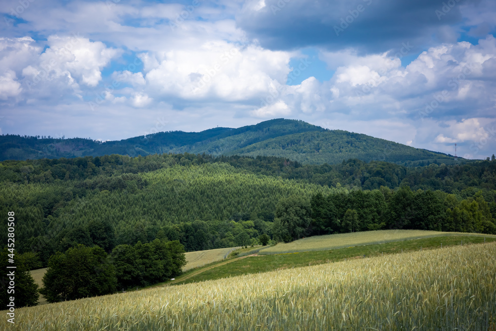 A mountain landscape, view to Bardzkie Mountains, Klodzka Valley, Poland. Golden cereal fields, green forest, cloudy sky, summer day. 