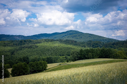 A mountain landscape, view to Bardzkie Mountains, Klodzka Valley, Poland. Golden cereal fields, green forest, cloudy sky, summer day.  photo