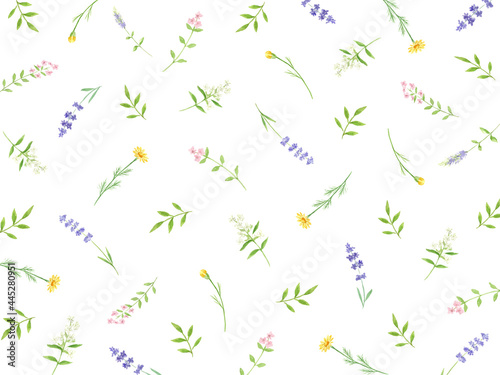 ハーブの模様　背景　壁紙　水彩イラスト