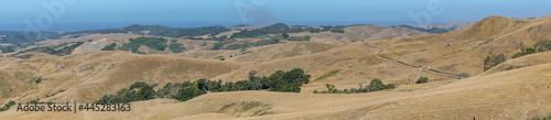Wallpaper Mural Cambria, CA, USA - June 8, 2021: Panorama landscape on Back country with dry ranch hills and patches of green trees. Ocean blue on horizon. Torontodigital.ca