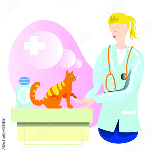Cat and veterinary doctor.
Veterinary doctor with stethoscope and cat.
