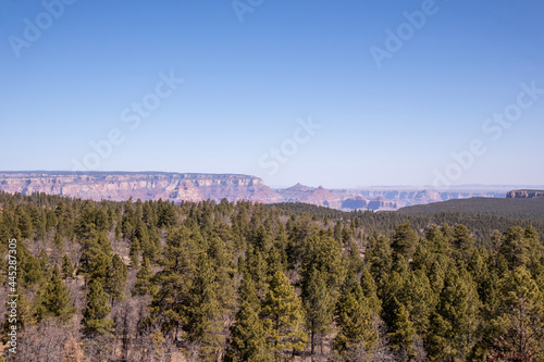 View of Grand Canyon South Rim from Grandview Lookout Tower in Kaibab National Forest