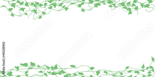 手書きタッチの草木。ツタのイラスト。草木フレーム。 Plants with a handwritten touch. Illustration of ivy. Plant frame.