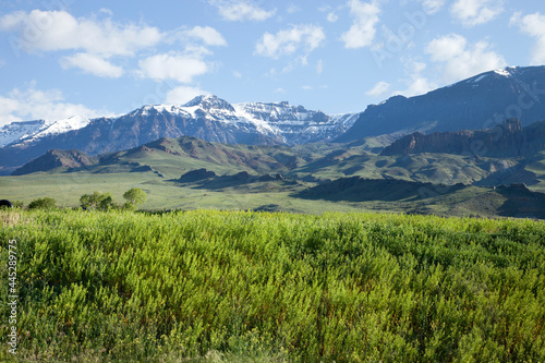 The Absaroka Mountains above a field in western Wyoming on a bright summer morning © Daniel Thornberg
