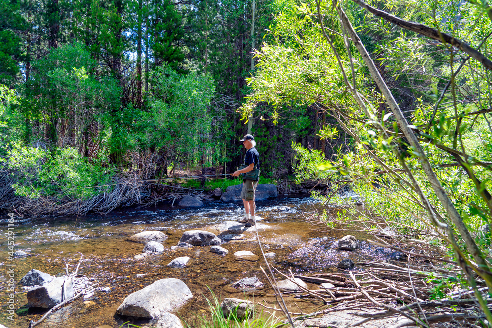 Senior male fly fishing in Rush Creek along the June Lake Loop in the California Eastern Sierra mountains. Senior male fly fishing in Rush Creek along the June Lake Loop in the California Eastern Sierra mountains.