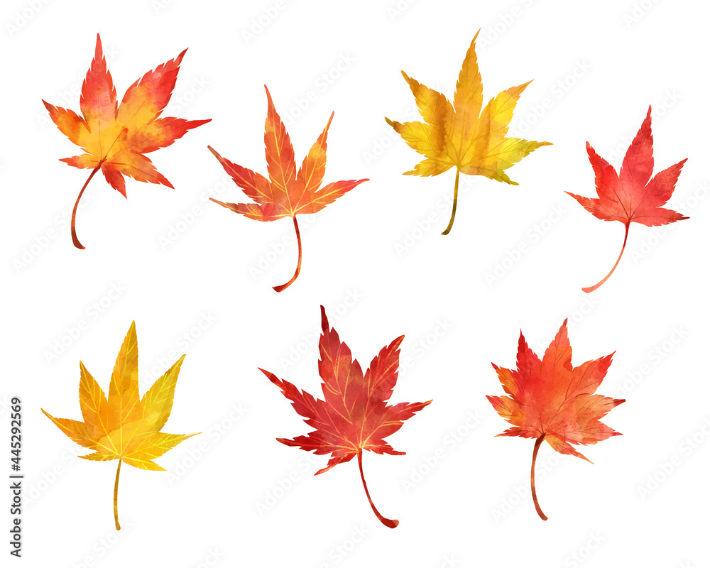 紅葉 水彩手描き イラスト セット 紅葉 水彩手描き イラスト セット
