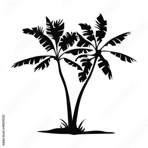 Palm tree vector png isolated on white background. palm tree editable eps 10.