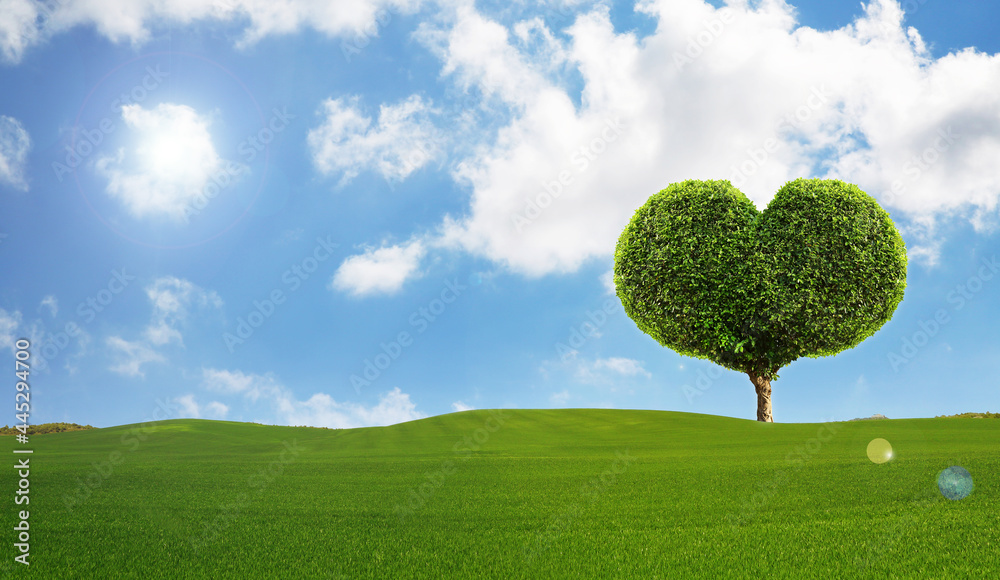 A heart-shaped tree on grass is a message to love nature. A heart-shaped tree on grass is a message to love nature.