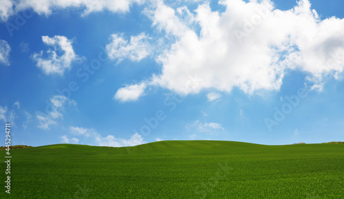 green grass and blue sky