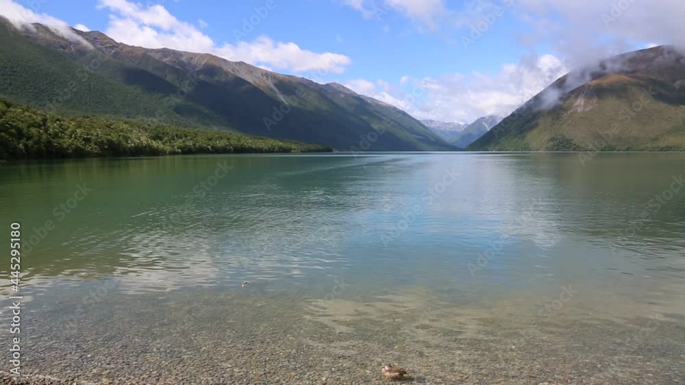 On the shore of Rotoiti - Nelson Lakes National Park, New Zealand, south island On the shore of Rotoiti - Nelson Lakes National Park, New Zealand, south island