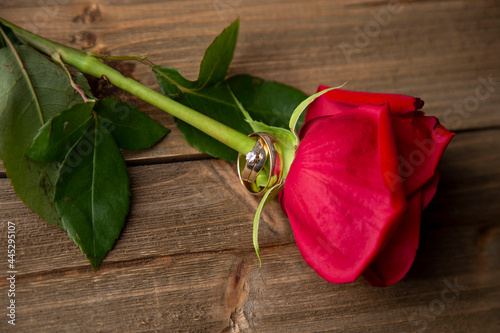 Schilderij op canvas Single Rose with Wedding Bands
