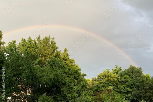 Fototapeta Naklejka Na Ścianę i Meble -  雨上がりの虹　〜Rainbow after the rain