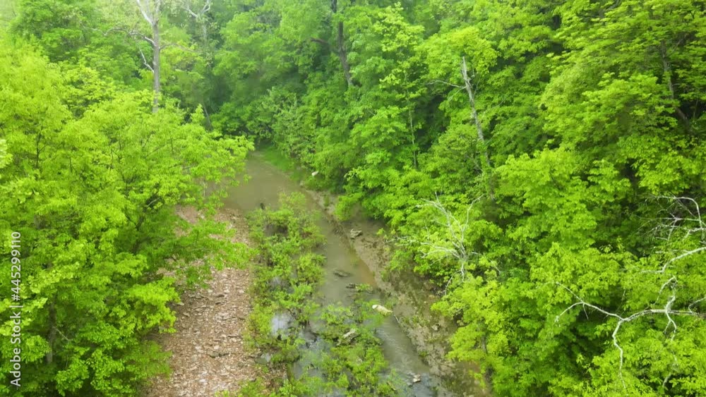 Zen Concept - Peaceful Rainforest Scene with Flowing River - Establishing Tilt-up