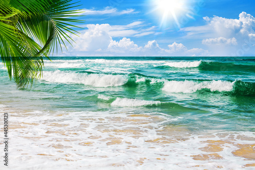 Fototapeta Naklejka Na Ścianę i Meble -  Exotic tropical paradise island sand beach, turquoise sea water ocean waves, green palm tree leaves, sun, blue sky white clouds, beautiful nature, summer holidays, caribbean vacation, travel landscape