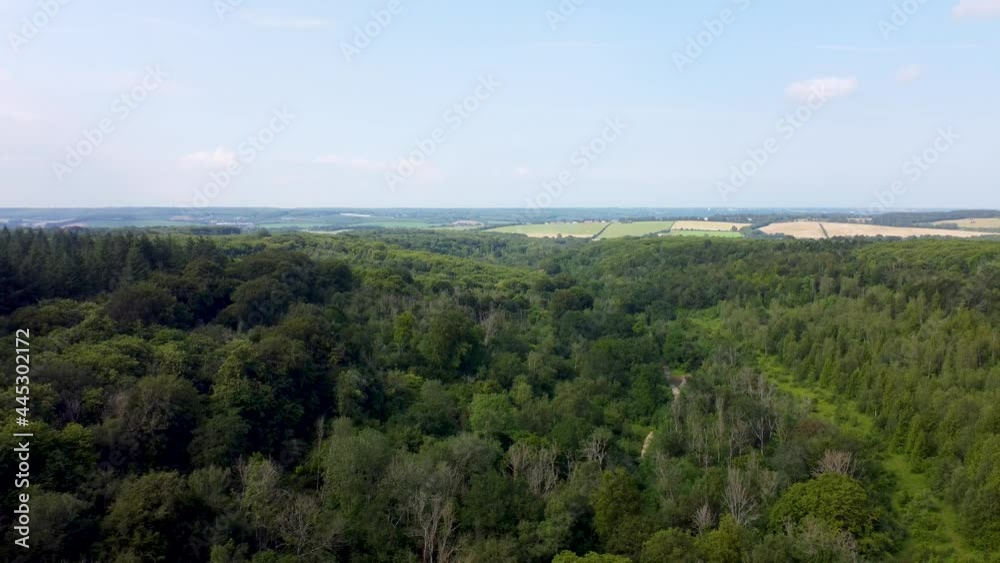 4K drone flying backwards over high treetops on England 4K drone flying backwards over high treetops on England