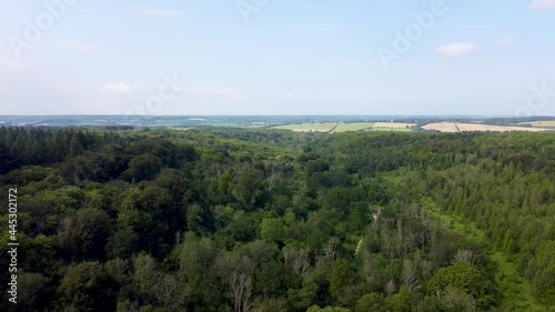 4K drone flying backwards over high treetops on England photo