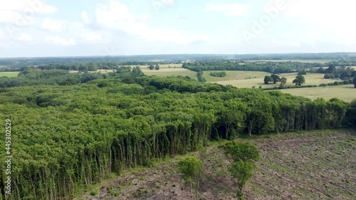 4K video flying over the top of trees and deforestation in UK photo