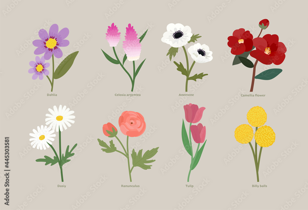 Types of flowers. Hand drawing style flower illustration. minimal vector flat design.