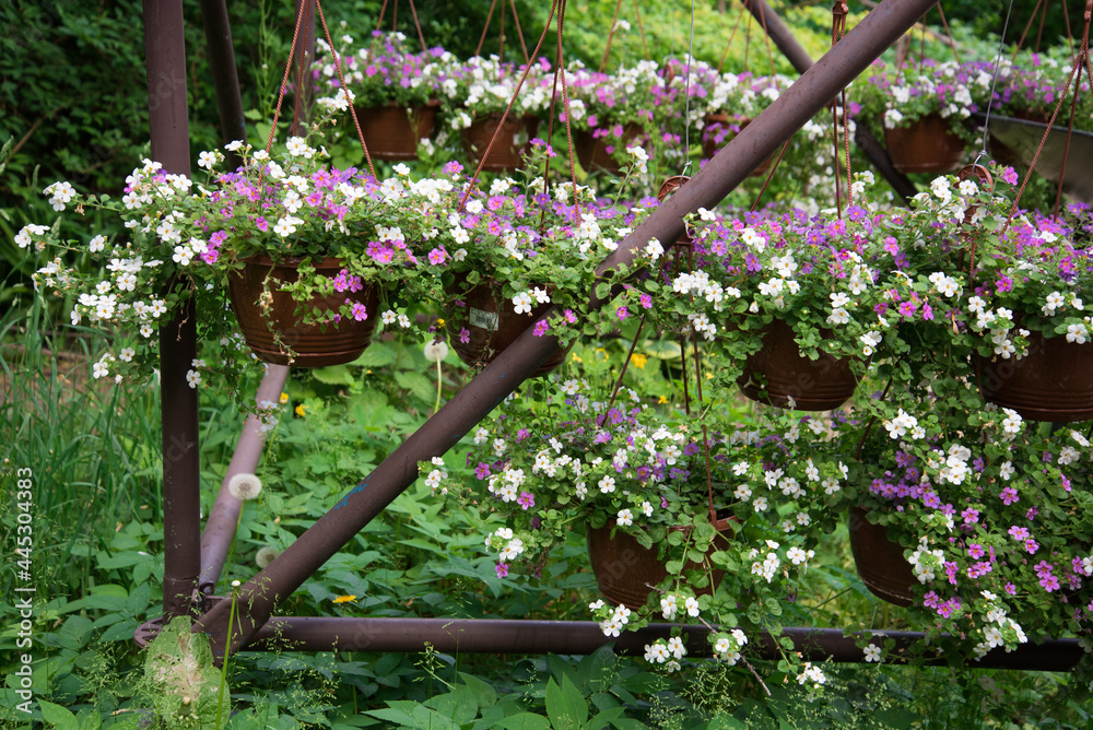 metal arch with baskets of flowers. Decor element. Landscape decoration, landscaping